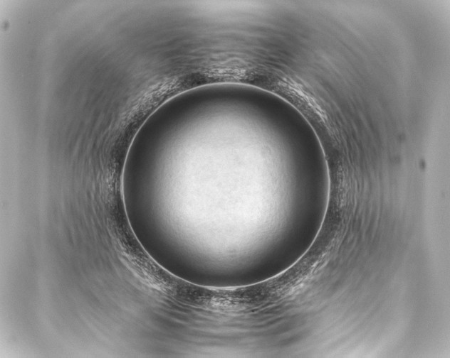 X0000088170641200705151149