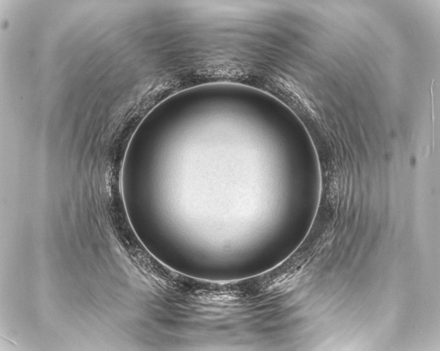 X0000088170643200705151149