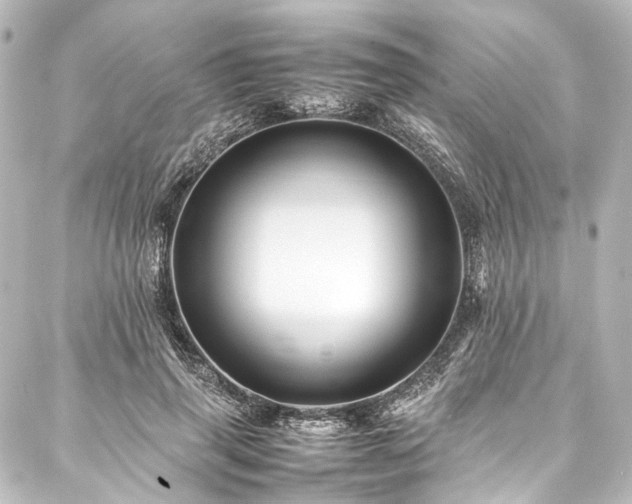 X0000088170645200705151149