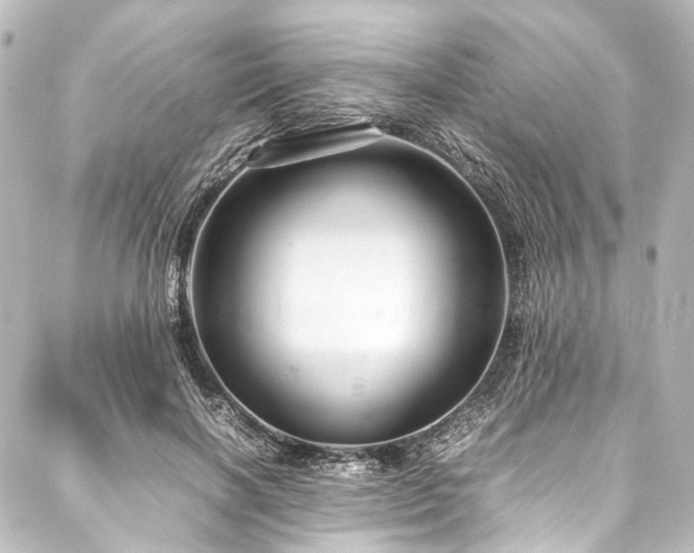 X0000088170646200705151149