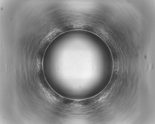 X0000088170648200705151149