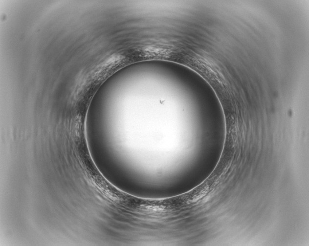 X0000088170649200705151149