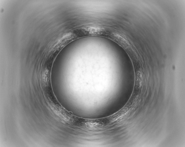 X0000088170650200705151149