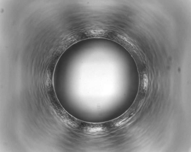 X0000088170651200705151149