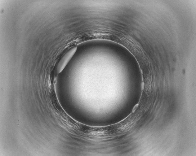 X0000088170653200705151149