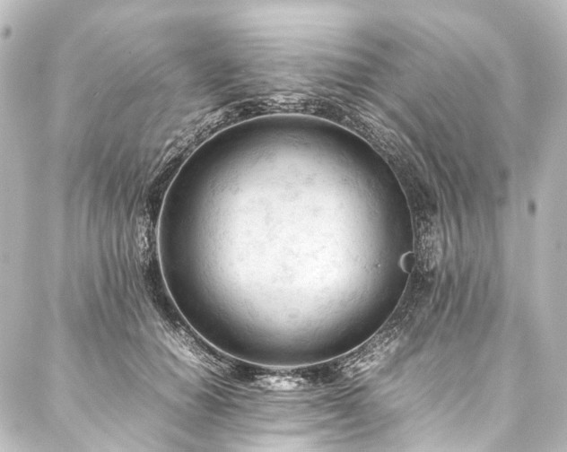 X0000088170654200705151149