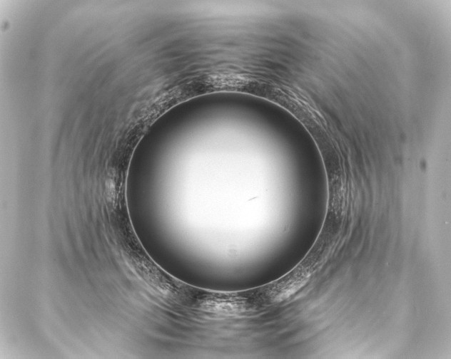X0000088170655200705151149