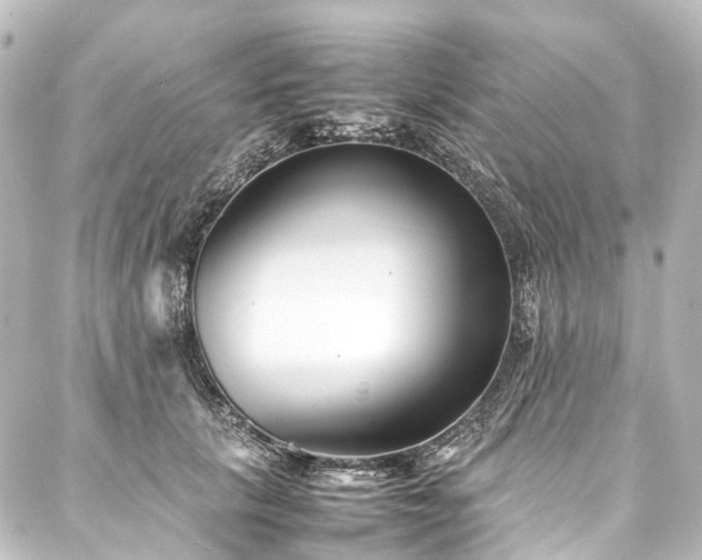X0000088170657200705151150