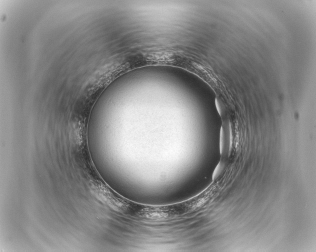 X0000088170658200705151150
