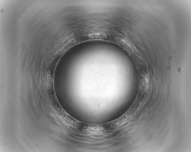 X0000088170659200705151150