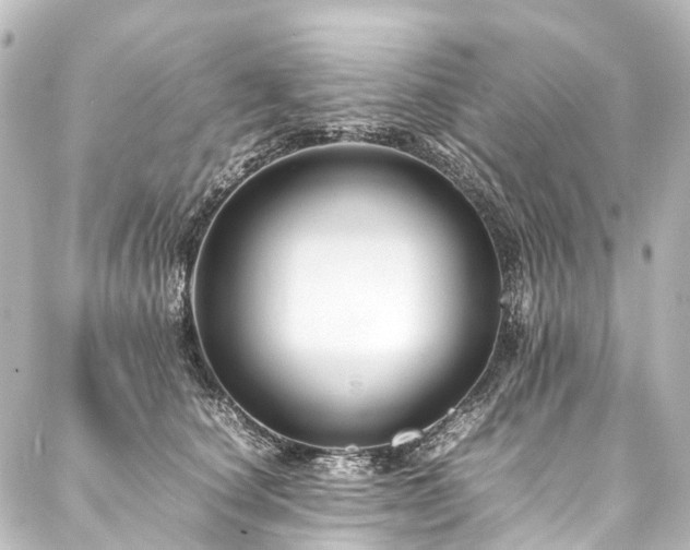X0000088170660200705151150