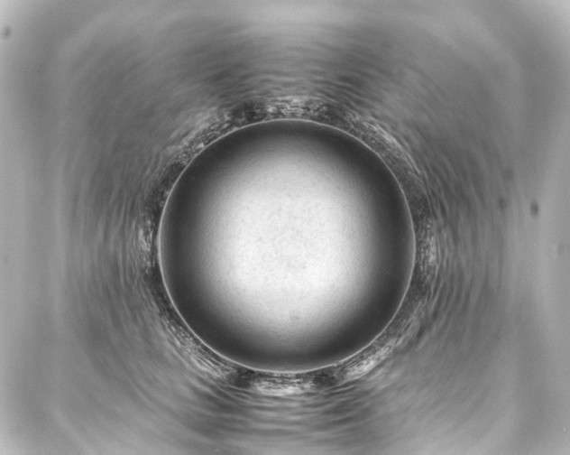 X0000088170661200705151150