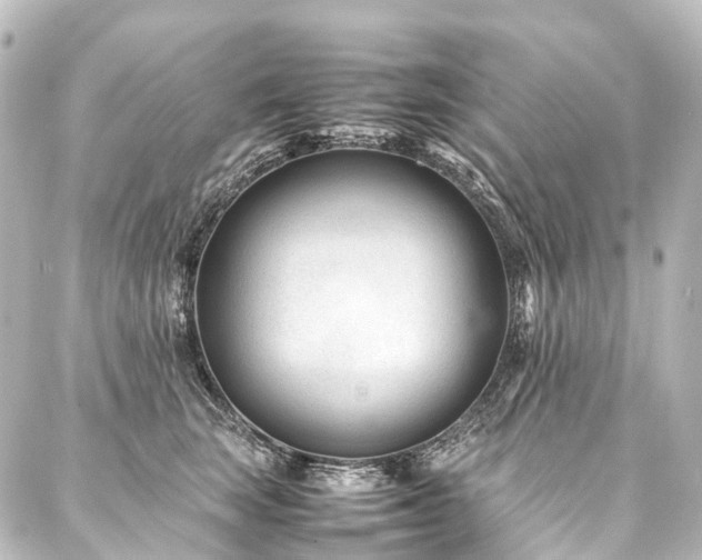 X0000088170663200705151150