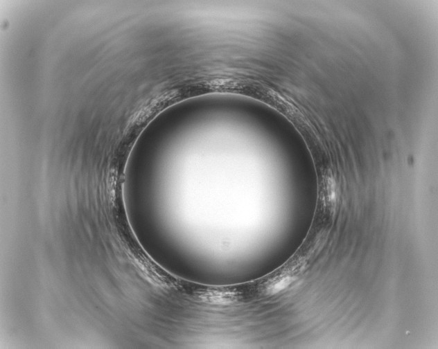 X0000088170664200705151150