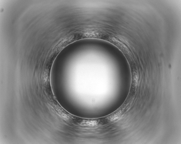 X0000088170665200705151150