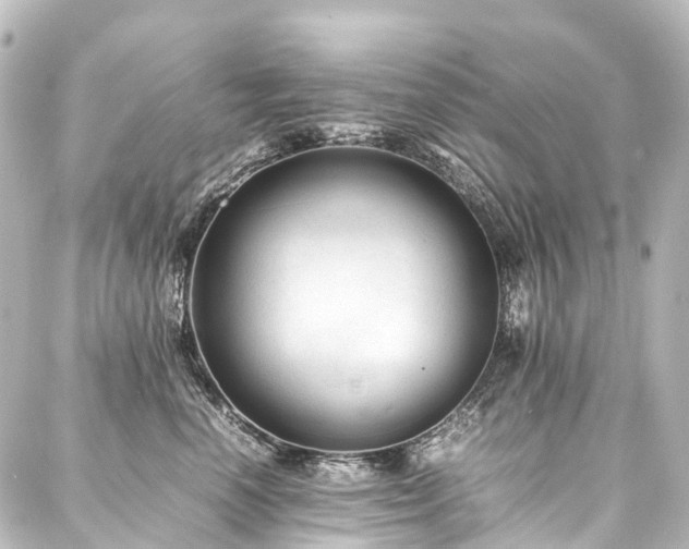 X0000088170666200705151150