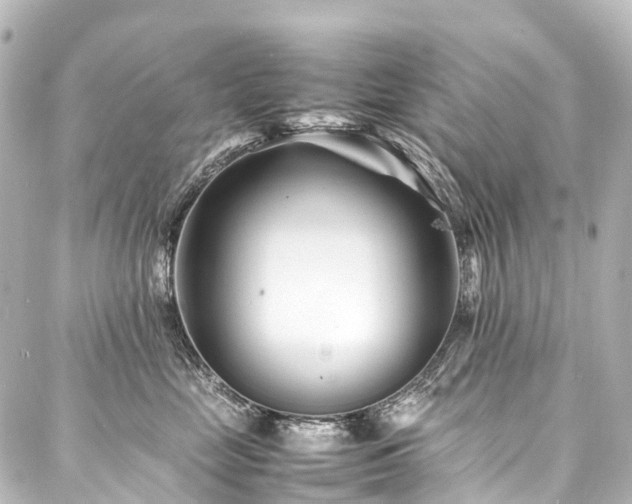 X0000088170669200705151150