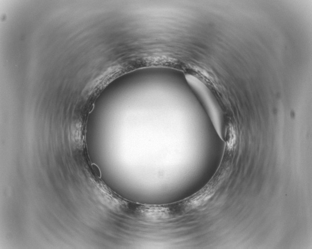 X0000088170670200705151150