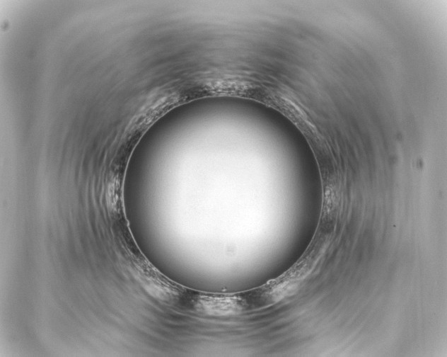 X0000088170671200705151150