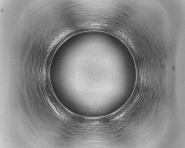 X0000088170674200705151149