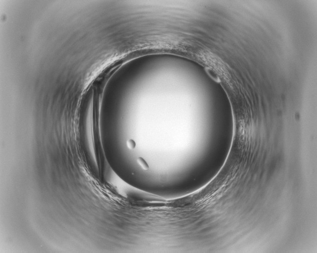 X0000088170676200705151149