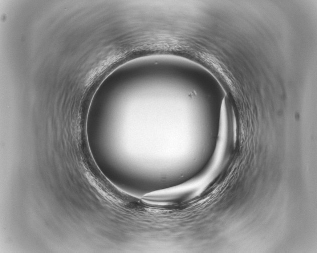 X0000088170677200705151149