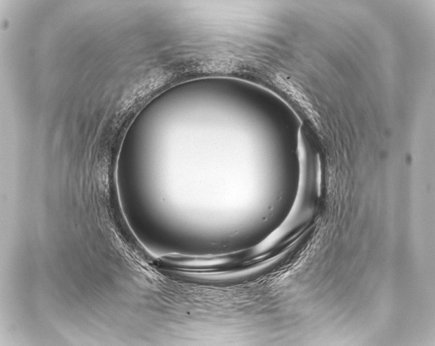 X0000088170681200705151149