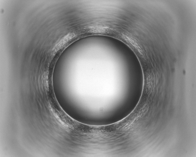 X0000088170682200705151149