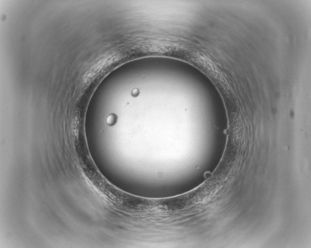 X0000088170683200705151149