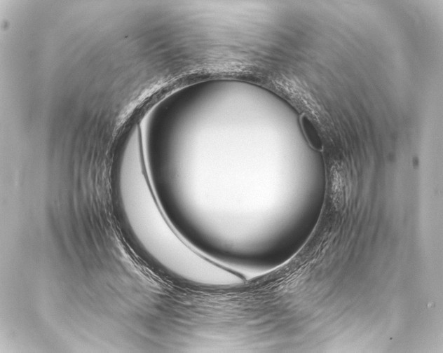 X0000088170684200705151149