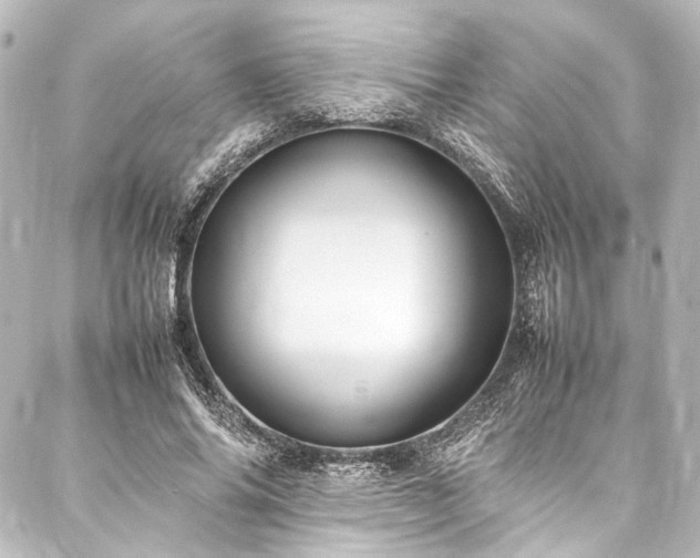 X0000088170686200705151149