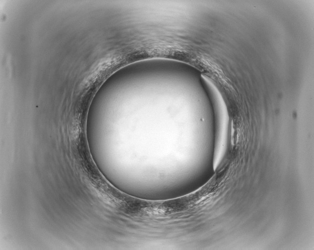 X0000088170687200705151149