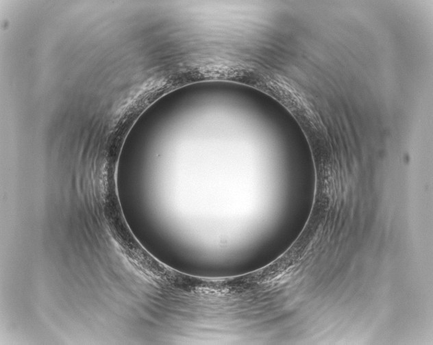 X0000088170690200705151149