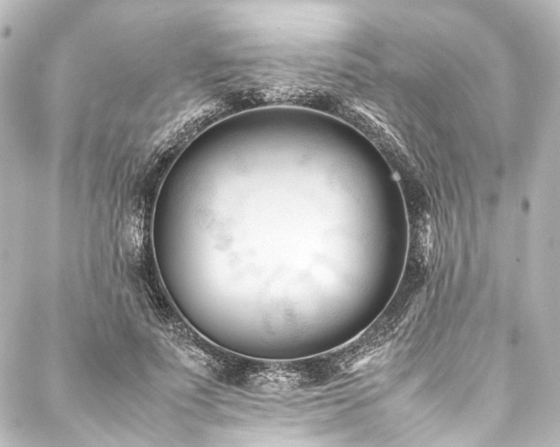 X0000088170691200705151149