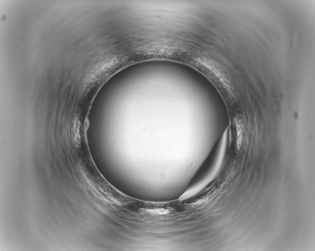 X0000088170692200705151149