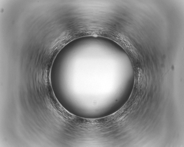 X0000088170696200705151149