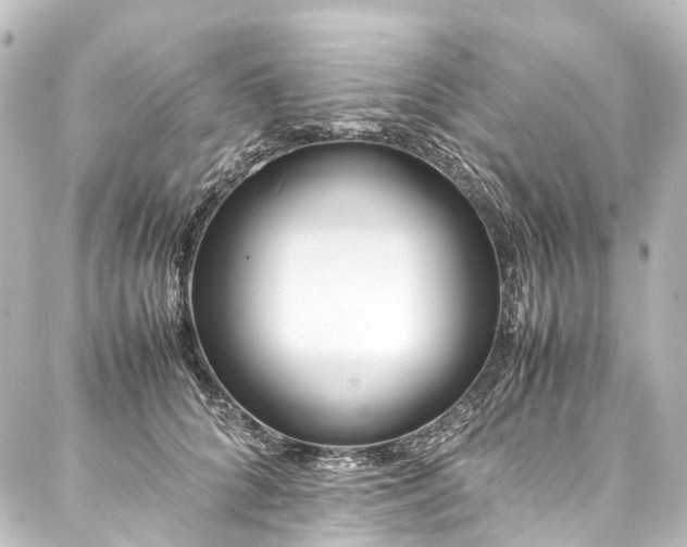 X0000088170704200705151148