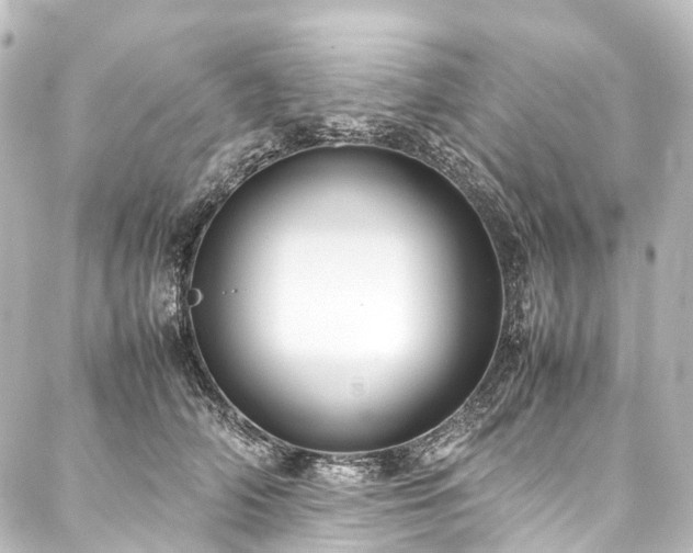 X0000088170706200705151148