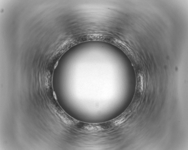 X0000088170712200705151148