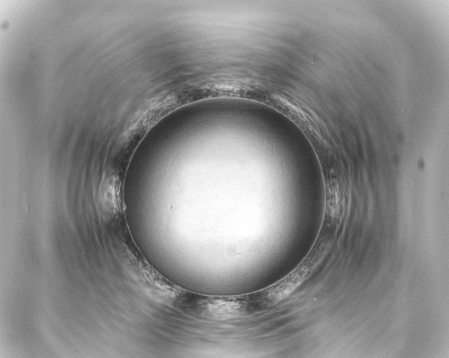 X0000088170718200705151148