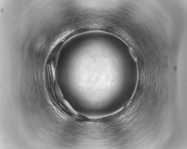 X0000088170722200705151147