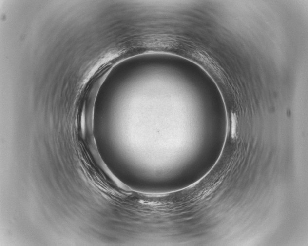 X0000088170723200705151147