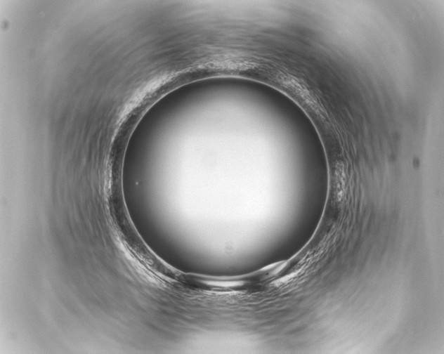 X0000088170726200705151148
