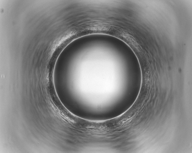 X0000088170727200705151148