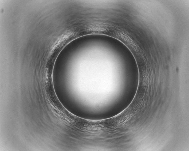 X0000088170731200705151148