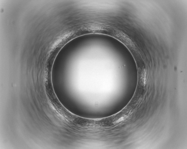 X0000088170732200705151148