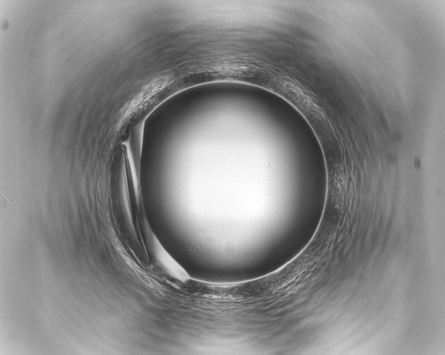 X0000088170734200705151148