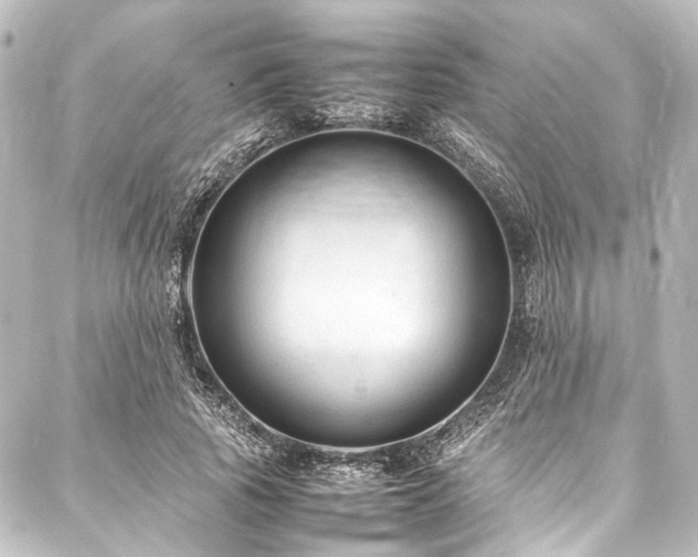 X0000088170737200705151148