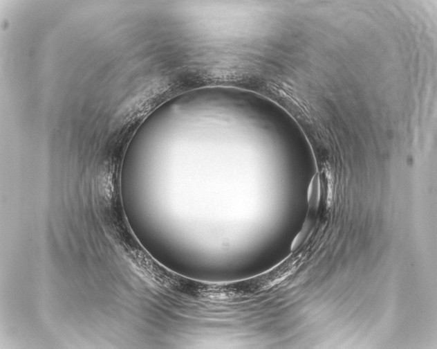X0000088170746200705151148