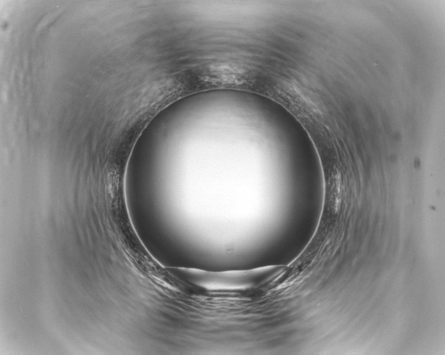 X0000088170747200705151148